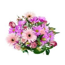 Sweet Gerberas (BASE)