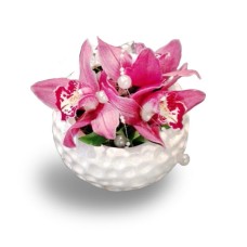 Orchid composition (BASE)