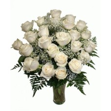 24 white roses (BASE)