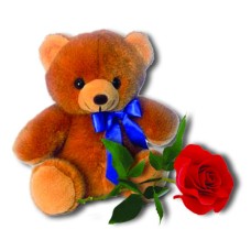 Teddy Rose (BASE)