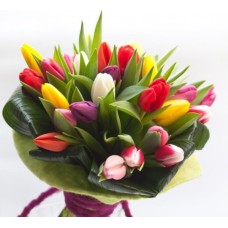 Mix di tulipani (BASE)