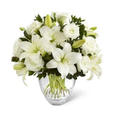 Candor White (BASE)