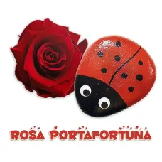 Amore e fortuna