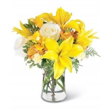 Whiteness Yellow (BASE)