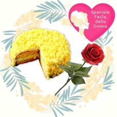 Torta e rosa (BASE)
