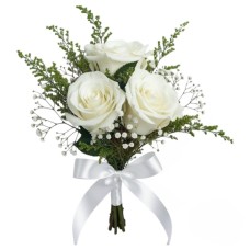 3 Rose Bianche (Raffinate)