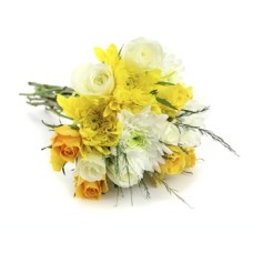 Fioriture di Sunshine