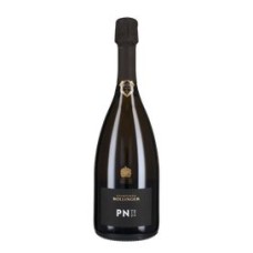 Champagne Blanc de Noirs 'PN TX20' Bollinger