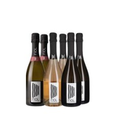 Confezione di Prosecco Rosé, Brut ed Extra Dry in flacone (6 bottiglie)