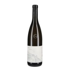 Pinot Bianco Hochklaus 2020