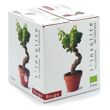 L'Insolite de Lascaux - Vino rosso biologico AOC du Languedoc Bib 3L