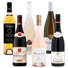 Elegante collezione di vini