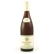Pinot Nero Borgogna - 12,5%