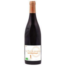 Saint-Nicolas de Bourgueil DOP - Torre di mio padre Mercier-Valle