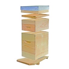 Ruchette Dadant 6 montature (livree montee)