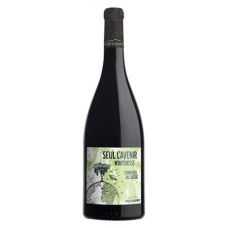 Seul l'avenir m'intresse - vino rosso DOP Terrasses du Larzac