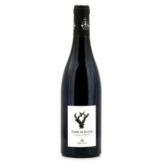 Terre de St Cyr Saumur Champigny AOC - vino rosso senza solfiti aggiunti