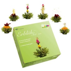 Scatola da 6 fiori di tè verde aromatizzati