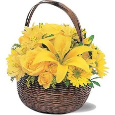 Yellow Ball (Classic Composition)