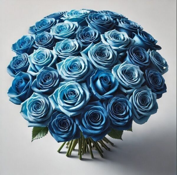 50 sfumature di blu (BASE)