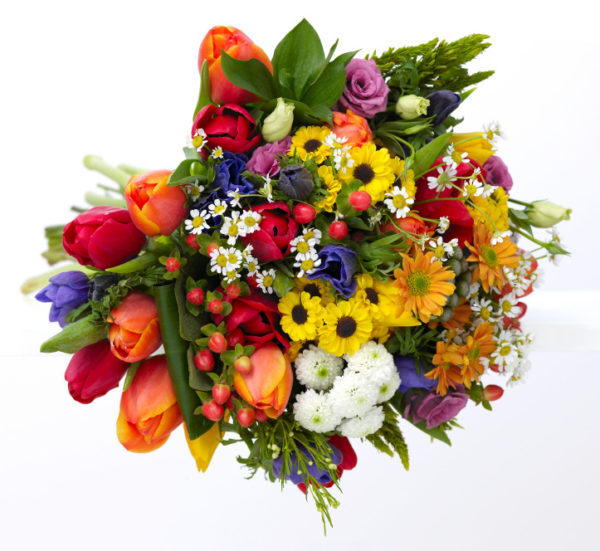 Cheerfulness (BASE)