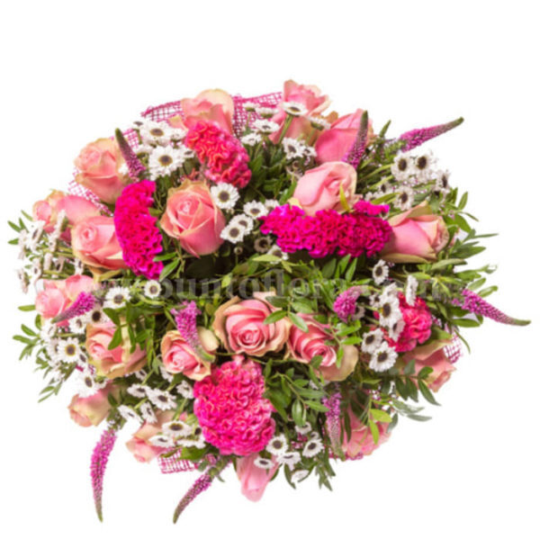 Riccioli rosa (BASE)
