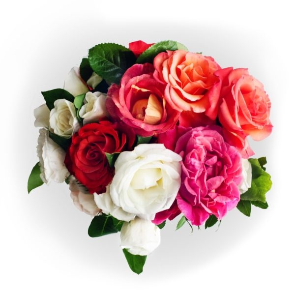Rose wind (BASE)