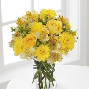 Freesia (BASE)