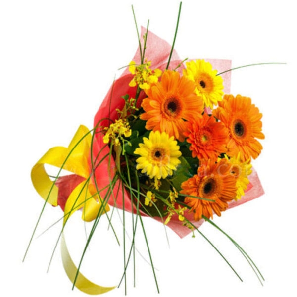 Escape Of Gerberas (BASIC)