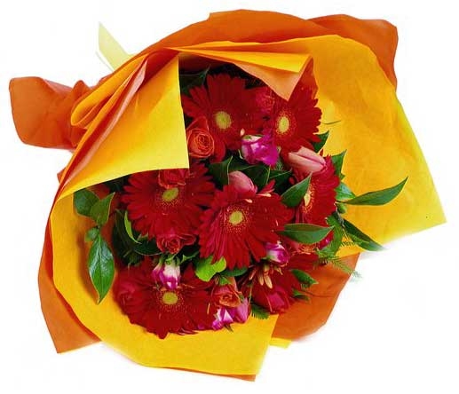 Gerbera bouquet (BASE)