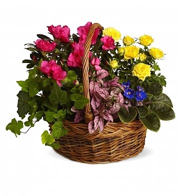 Cesto di fiori (BASE)