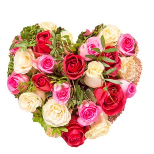 Cuore di Rose (BASE)