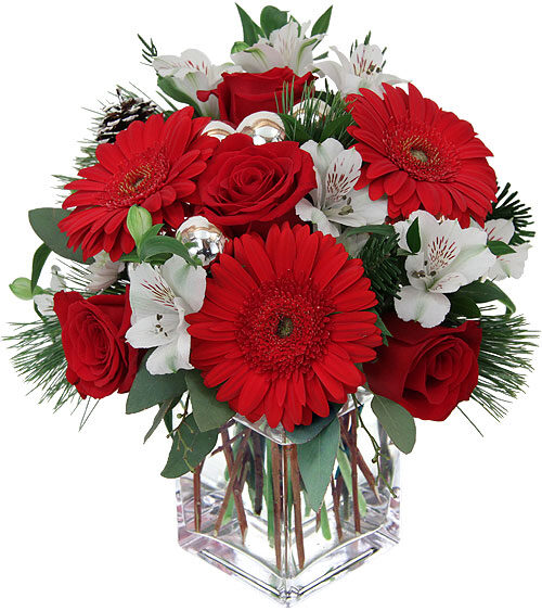 Red Gerbera (BASE)