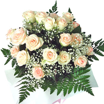 12 white roses (BASE)