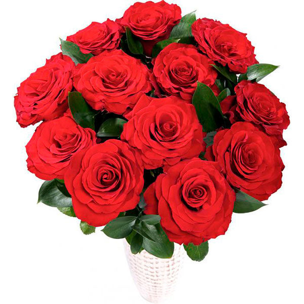 Passion Red (BASE)