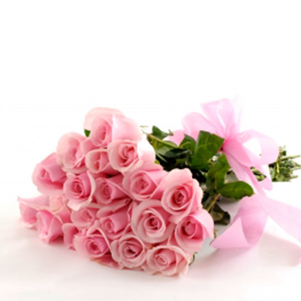 Powder Rose (BASIC)