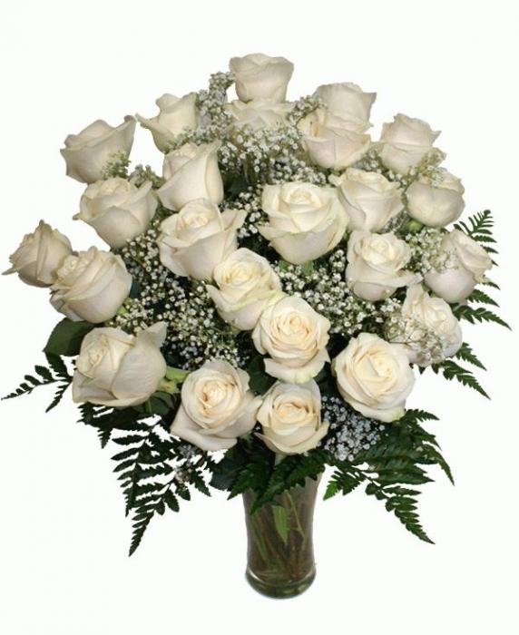 24 white roses (BASE)