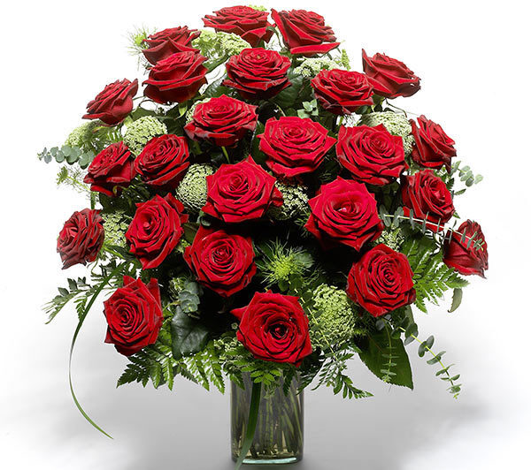 24 red roses (BASE)