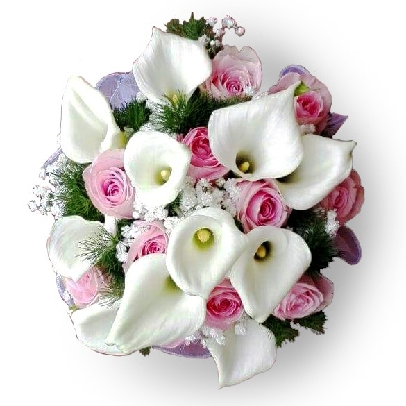 Calla Precious (BASIC)