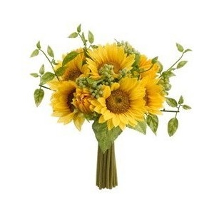 Sunflower (BASE)