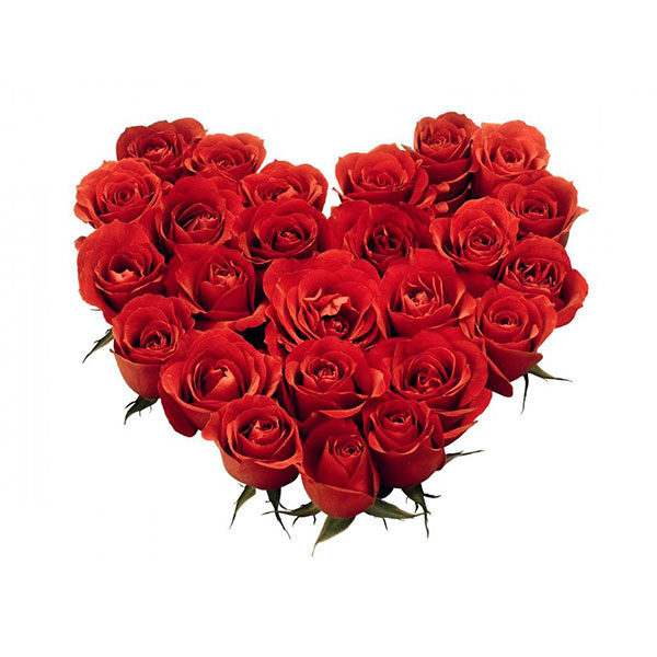 Cuore Rosso (BASE)