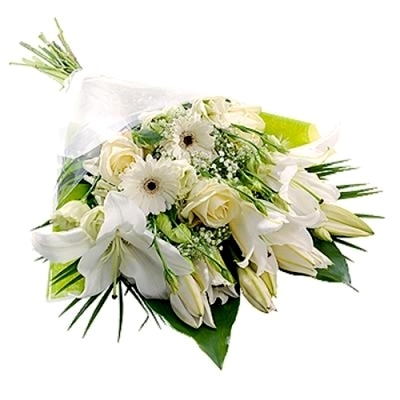 White packaging (BASE)