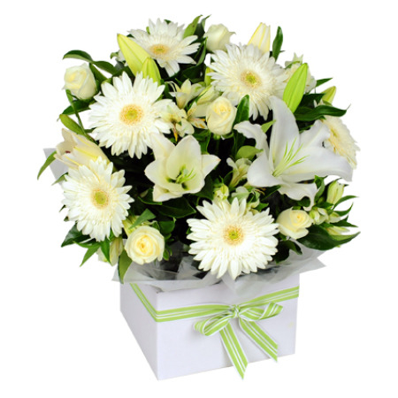 Scented Snow (BASE)
