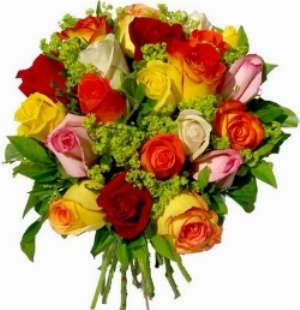 Mix Roses (BASE)