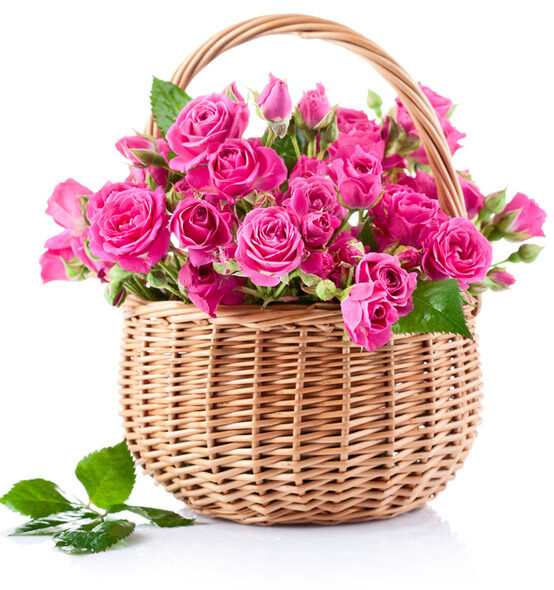 Rose Perfume (BASIC)