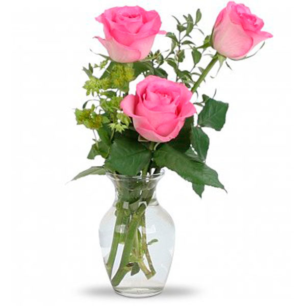 Tris Pink (BASE)