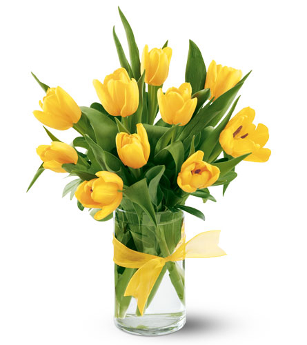 Tully tulip (BASE)