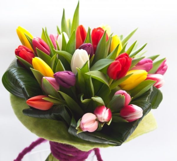 Mix di tulipani (BASE)