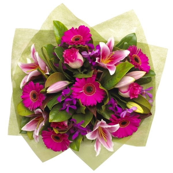 Divinely Fuchsia (BASIC)