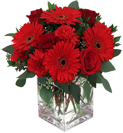 Charm Red (BASE)